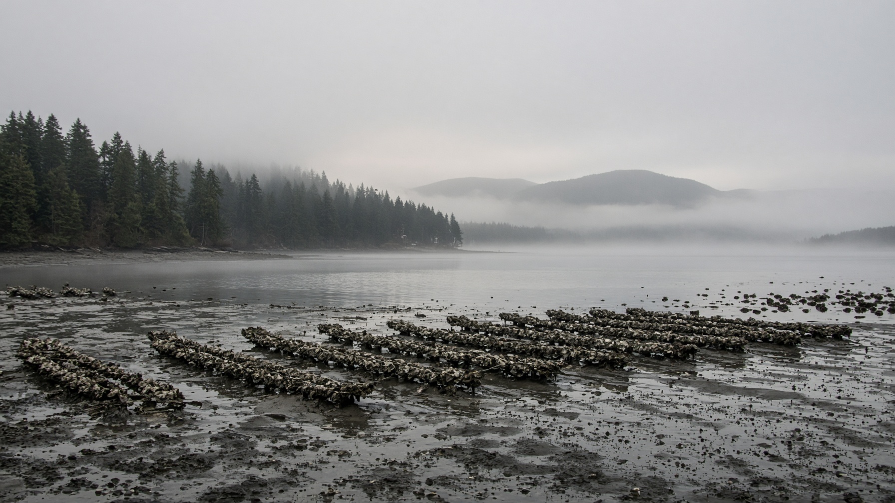 Puget Sound fisheries
