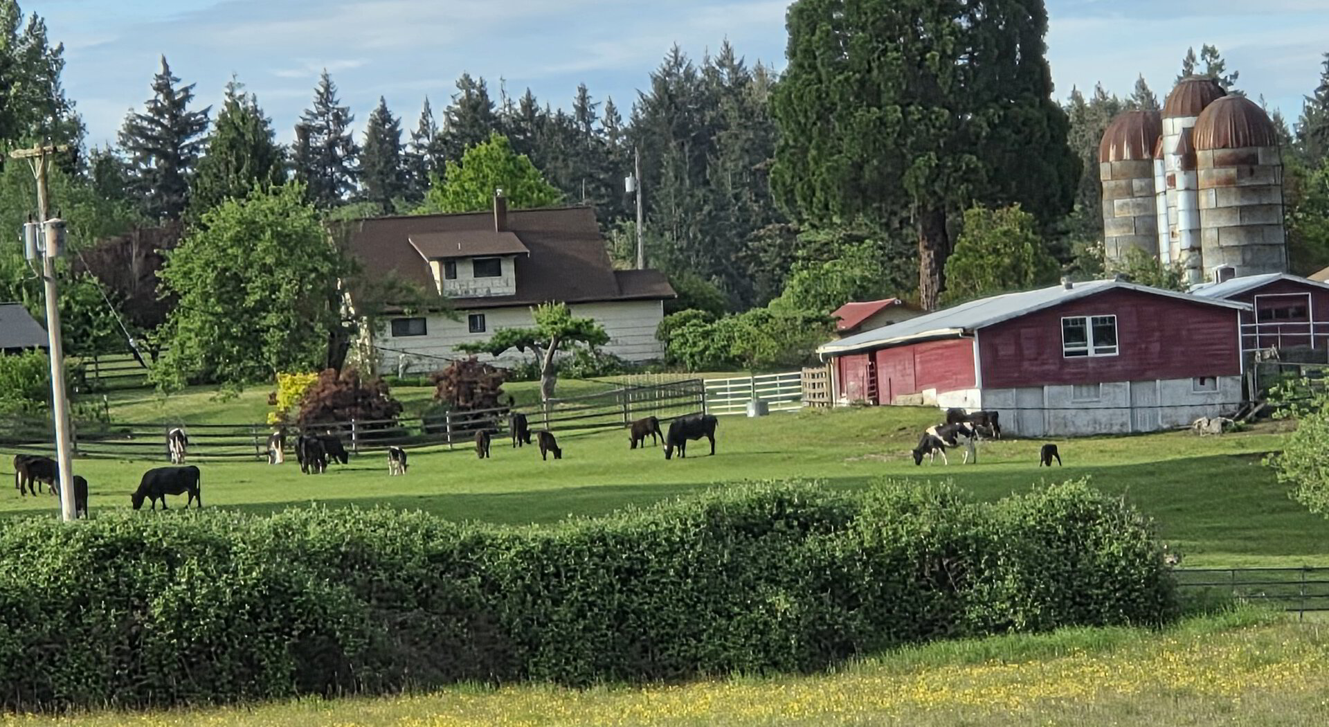 Farmland